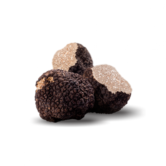 TUBER BRUMALE VITTADINI – TARTUFO NERO INVERNALE